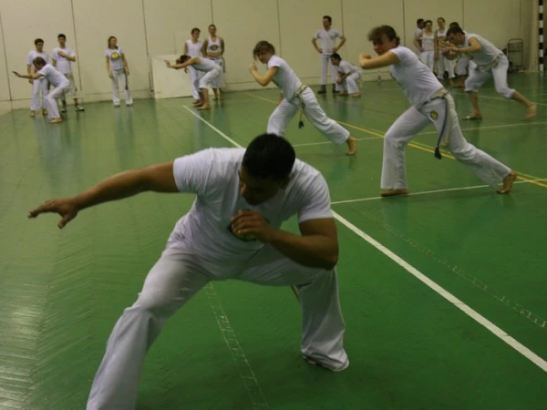 Семінар Аше 2008 р.